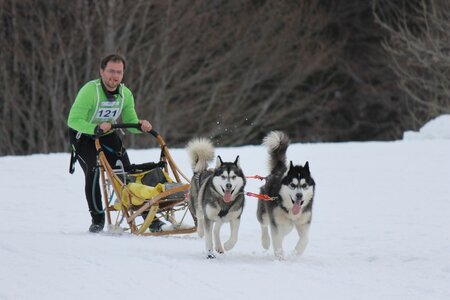 Course de chiens de traineau La Pesse 2013, IMG_2163  Copier 