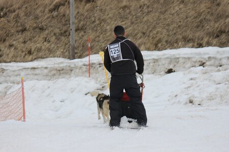 Course de chiens de traineau La Pesse 2013, IMG_2204  Copier 
