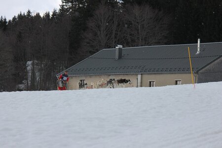 Course de chiens de traineau La Pesse 2013, IMG_2359  Copier 