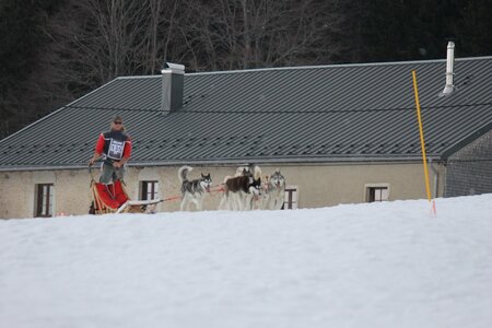 Course de chiens de traineau La Pesse 2013, IMG_2360  Copier 
