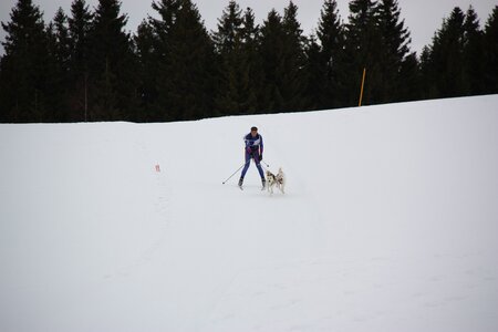 Course de chiens de traineau La Pesse 2013, IMG_3748  Copier 