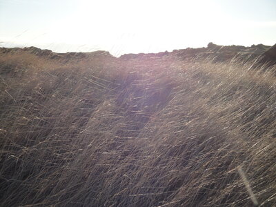 Islande - Snaefellsnes, DSC00954