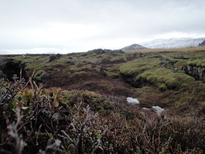 Islande - Snaefellsnes, DSC01347