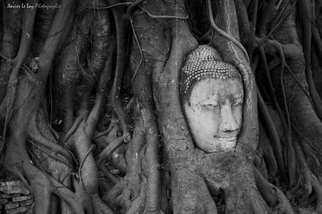 Cambodge, IMGP0161 copy
