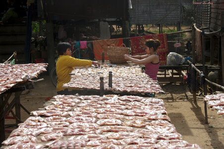 Cambodge, IMGP0209 copy