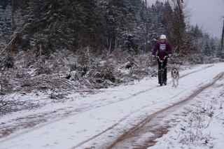 st-vith 2013, DSC02218