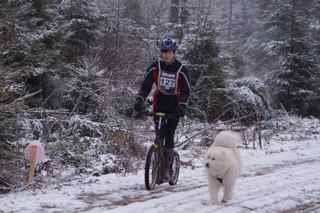 st-vith 2013, DSC02233