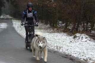 st-vith 2013, P1100073