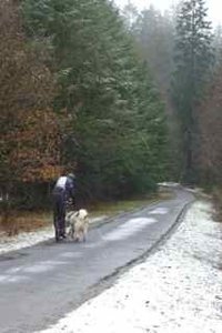 st-vith 2013, P1100074
