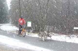 st-vith 2013, P1100083