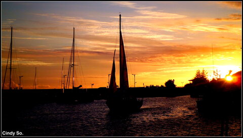 Poésie d'une photographie, CIMG9718