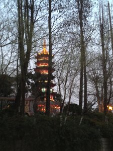 Temple de Confucius, IMG_1883