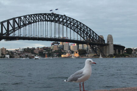 Sydney/Blue mountain, IMG_1537