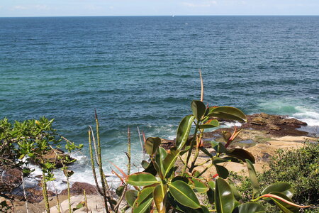 Sydney/Blue mountain, IMG_1659
