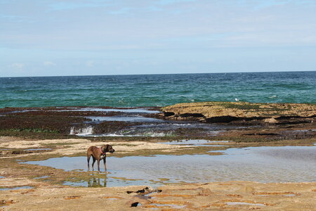 Sydney/Blue mountain, IMG_1703