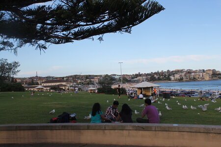 Sydney/Blue mountain, IMG_1732