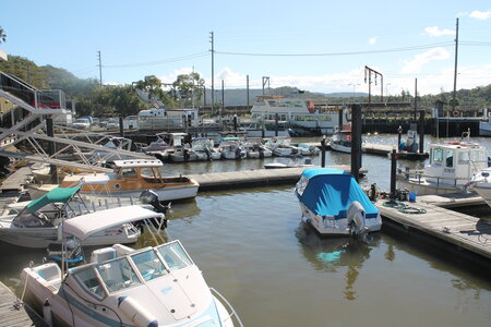 Sydney/Blue mountain, IMG_1811