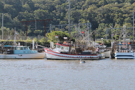 Sydney/Blue mountain, IMG_1821