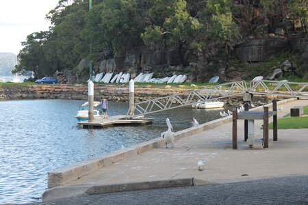 Sydney/Blue mountain, IMG_1836