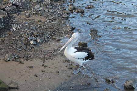 Sydney/Blue mountain, IMG_1850