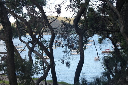 Sydney/Blue mountain, IMG_1864