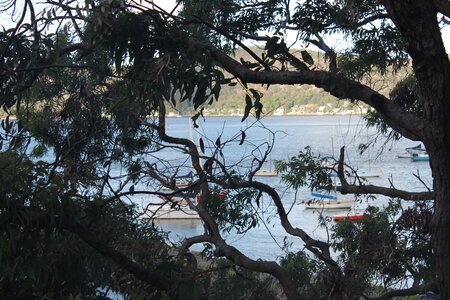Sydney/Blue mountain, IMG_1865