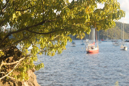 Sydney/Blue mountain, IMG_1877