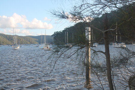 Sydney/Blue mountain, IMG_1879