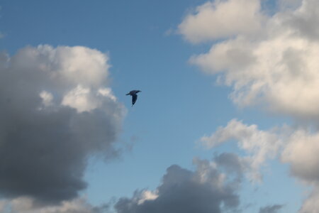 Sydney/Blue mountain, IMG_1881