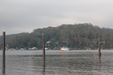 Sydney/Blue mountain, IMG_1944