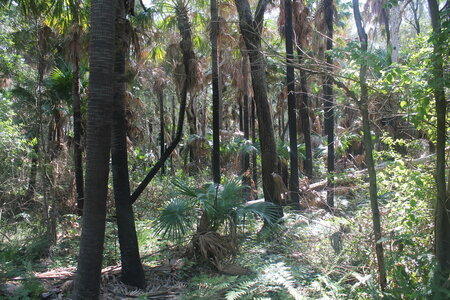 Sydney/Blue mountain, IMG_2141