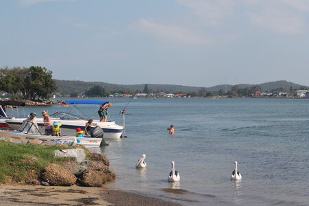 Sydney/Blue mountain, IMG_2164
