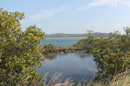 Sydney/Blue mountain, IMG_2169