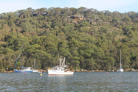 Sydney/Blue mountain, IMG_2209