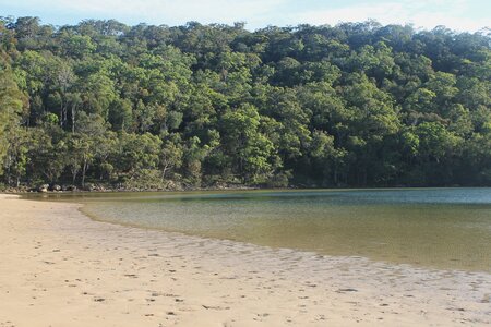 Sydney/Blue mountain, IMG_2270