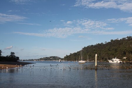 Sydney/Blue mountain, IMG_2295