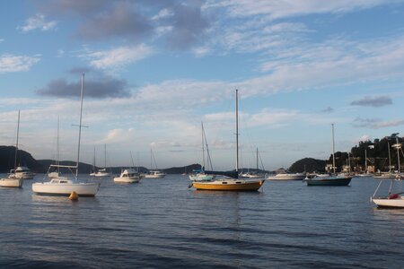 Sydney/Blue mountain, IMG_2341