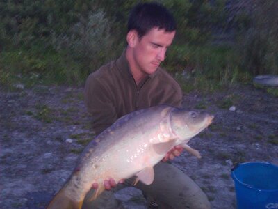 Poisson, WP_000498