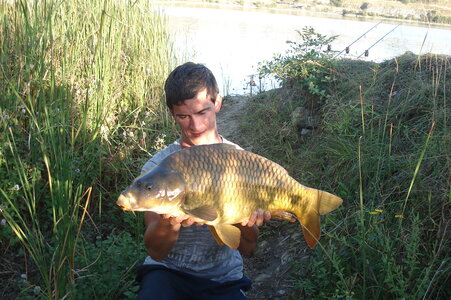 Poisson, DSC06310