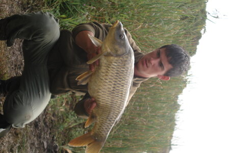 Poisson, DSC06332