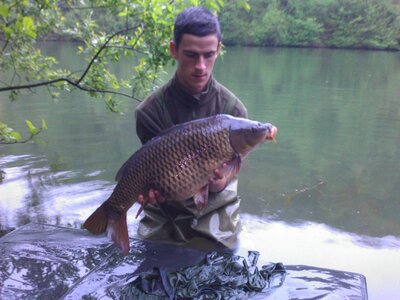 Poisson, WP_000418