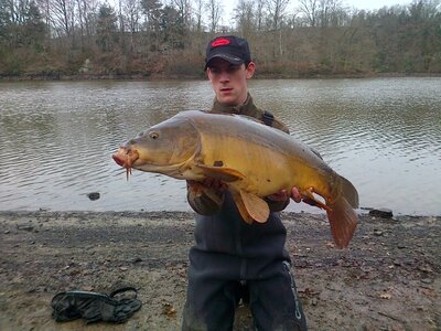 Poisson, IMG-20121224-00100