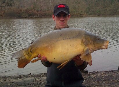 Poisson, IMG-20121224-00104