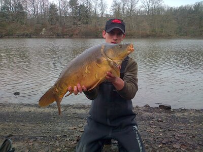 Poisson, IMG-20121224-00109