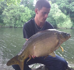 Poisson, WP_000479