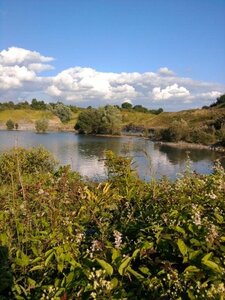 Paysage, 1342979540407