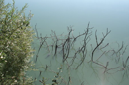 Paysage, DSC06285