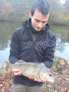 Carnassier, DSC00346