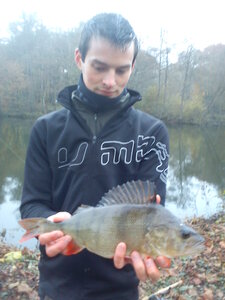 Carnassier, DSC00348