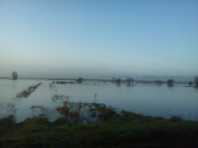 Paysage, DSC00375